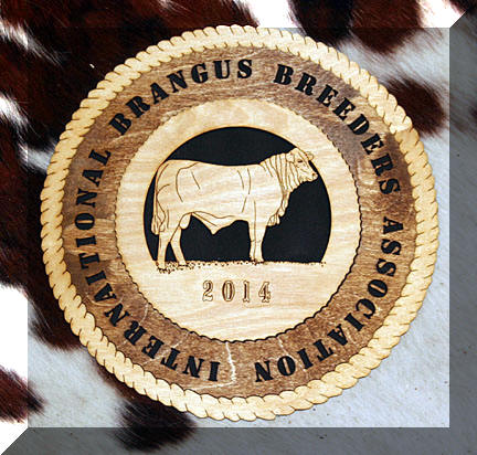 Brangus Bull award
